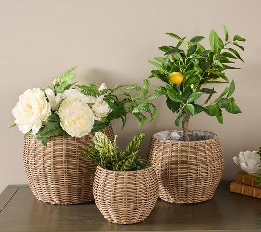 Purevia RattanBloom Trio Set